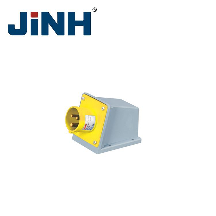 110v Industrial Plug
