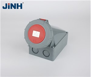 LEE-1342 3P+E IP67 Industrial Socket