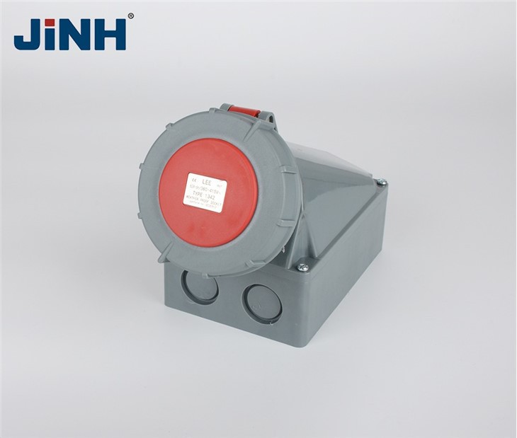 LEE-1342 3P+E IP67 Industrial Socket