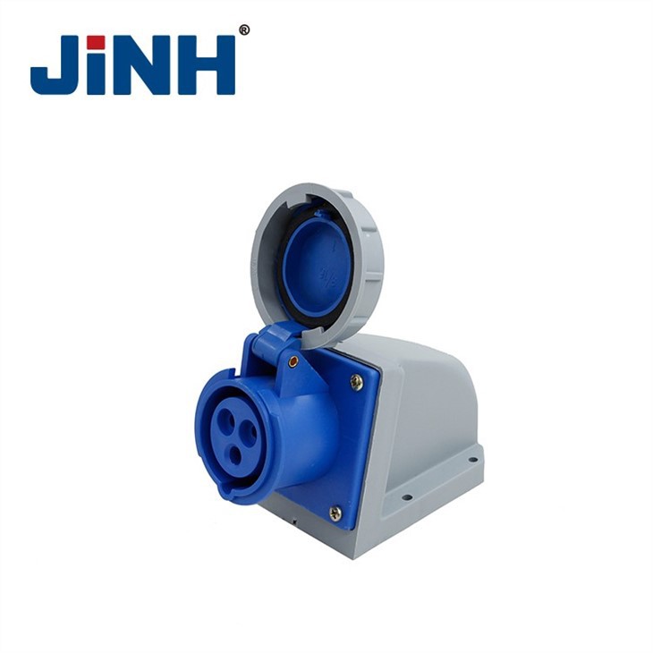 LEE-1132 2P+E IP67 Industrial Socket